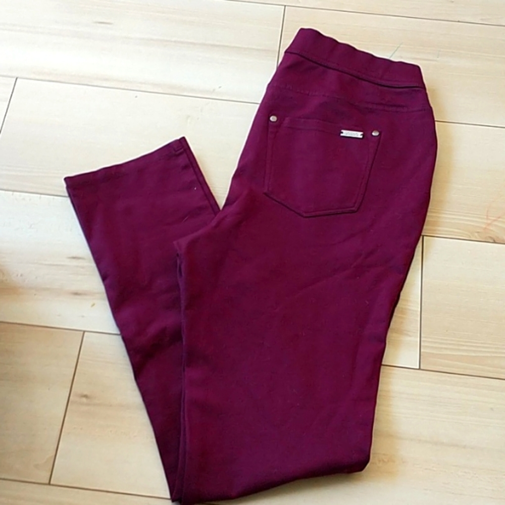 Tahari elements pant